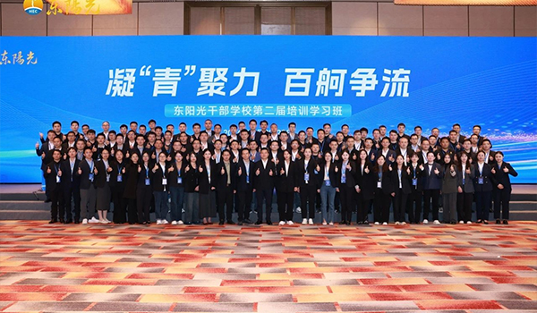 凝“青”聚力，百舸争流 | 九游会干部学校2024年第二届培训学习班圆满结束